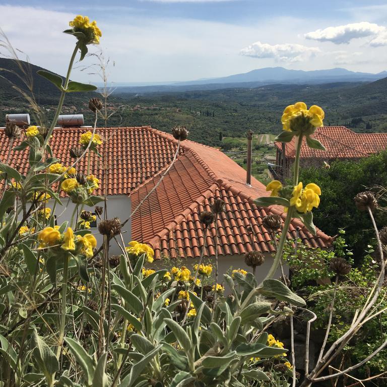 Guesthouse Lykourgos Mavrommátion 外观 照片