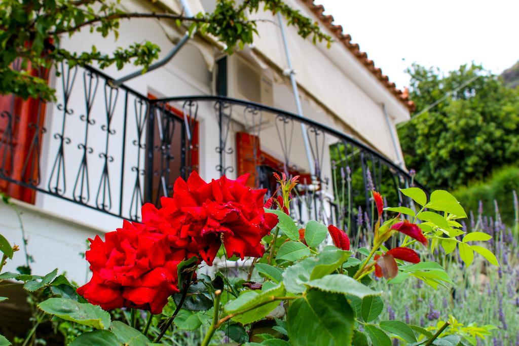 Guesthouse Lykourgos Mavrommátion 外观 照片